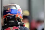 Foto zur News: Daniel Ricciardo (Toro Rosso)