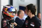 Foto zur News: Daniel Ricciardo (Toro Rosso)