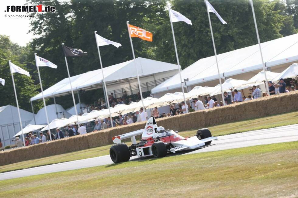 Foto zur News: Stoffel Vandoorne im McLaren M23