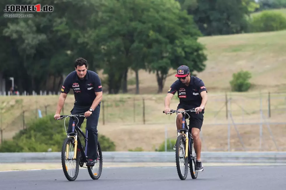 Foto zur News: Daniel Ricciardo (Toro Rosso)