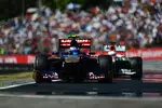 Foto zur News: Daniel Ricciardo (Toro Rosso)