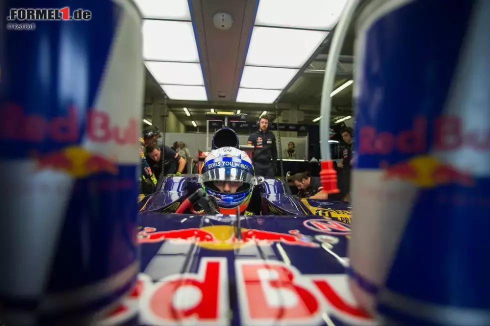 Foto zur News: Daniel Ricciardo (Toro Rosso)