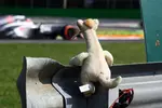 Foto zur News: &quot;Sid&quot; beobachtet Nico Hülkenberg (Sauber)