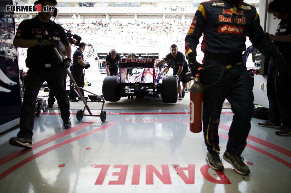 Foto zur News: Daniel Ricciardo (Toro Rosso)