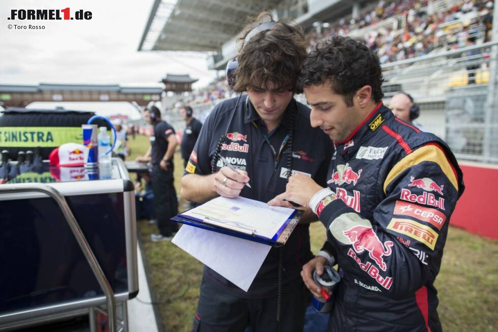 Foto zur News: Daniel Ricciardo (Toro Rosso)