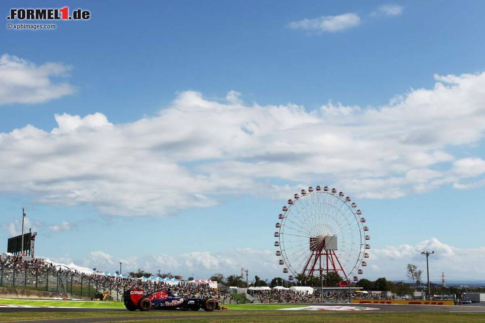 Foto zur News: Daniel Ricciardo (Toro Rosso)