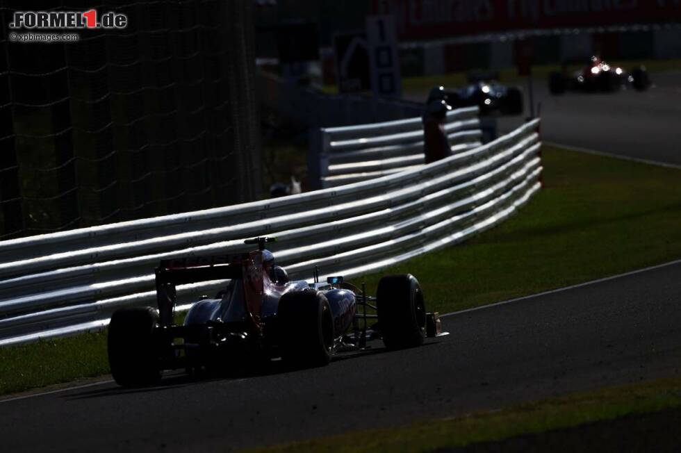 Foto zur News: Daniel Ricciardo (Toro Rosso)