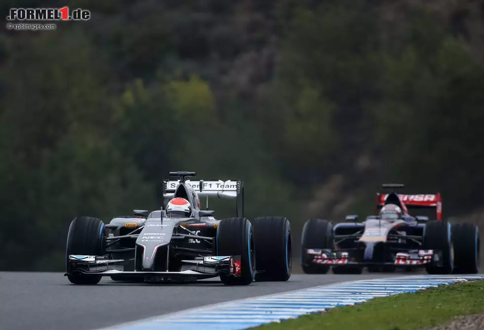 Foto zur News: Adrian Sutil (Sauber) und Daniil Kwjat (Toro Rosso)