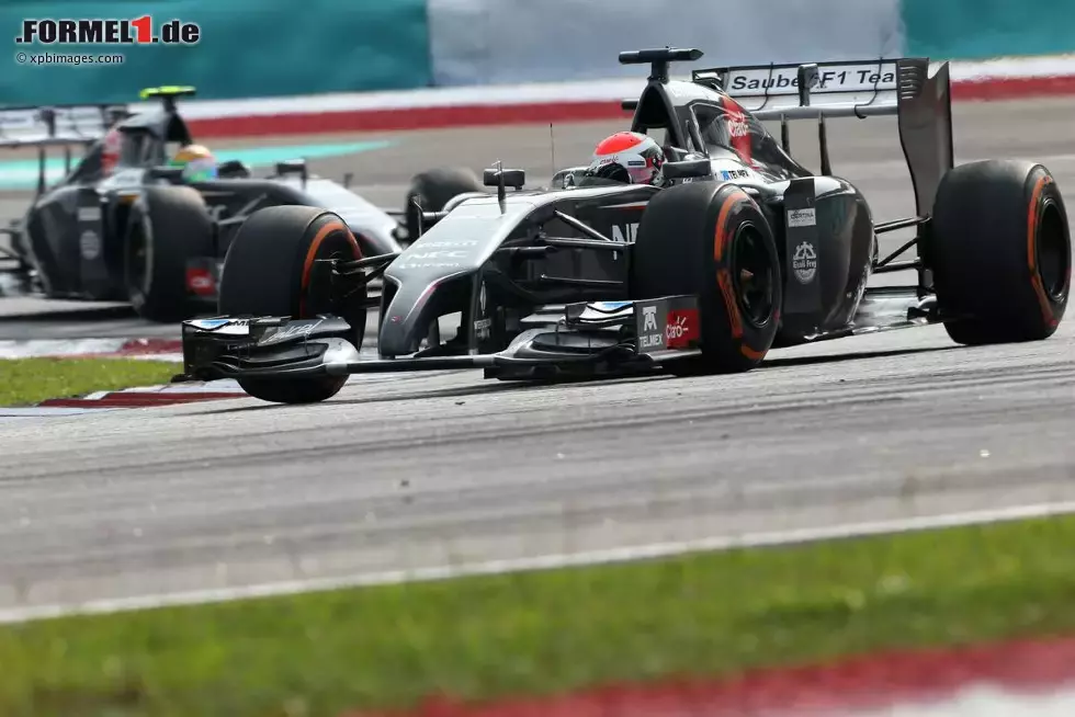 Foto zur News: Adrian Sutil (Sauber)