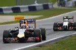 Foto zur News: Daniel Ricciardo (Red Bull)