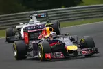 Foto zur News: Daniel Ricciardo (Red Bull)