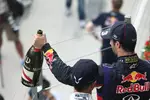 Foto zur News: Daniel Ricciardo (Red Bull)