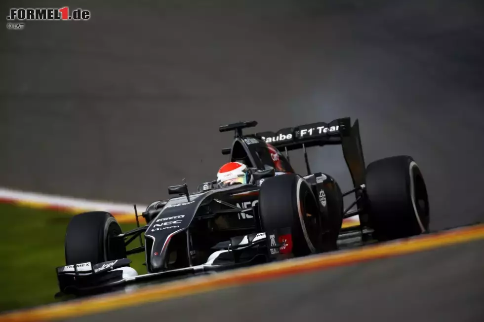 Foto zur News: Adrian Sutil (Sauber)