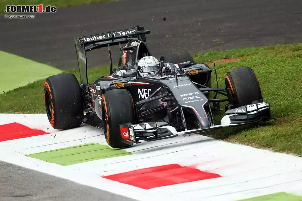 Foto zur News: Giedo van der Garde neben der Strecke