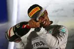 Foto zur News: Lewis Hamilton (Mercedes)