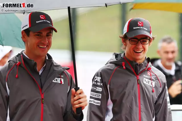 Foto zur News: Adrian Sutil Esteban und Gutierrez (Sauber F1 Team)