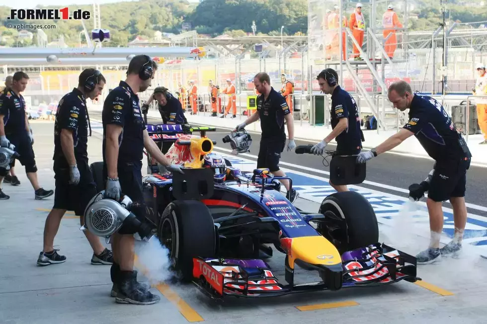 Foto zur News: Daniel Ricciardo (Red Bull)