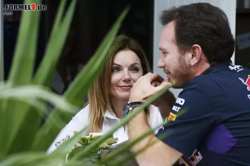 Foto zur News: Christian Horner