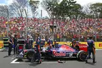 Foto zur News: Daniil Kwjat (Toro Rosso)