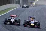 Foto zur News: Daniil Kwjat (Toro Rosso) und Sebastian Vettel (Red Bull)