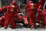 Foto zur News: Fernando Alonso (Ferrari)