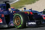 Foto zur News: Max Verstappen (Toro Rosso)