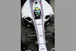 Foto zur News: Felipe Massa (Williams)