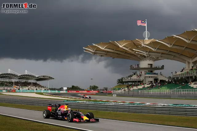 Foto zur News: Daniel Ricciardo (Infiniti Red Bull Racing)