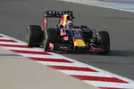 Foto zur News: Daniel Ricciardo (Red Bull)