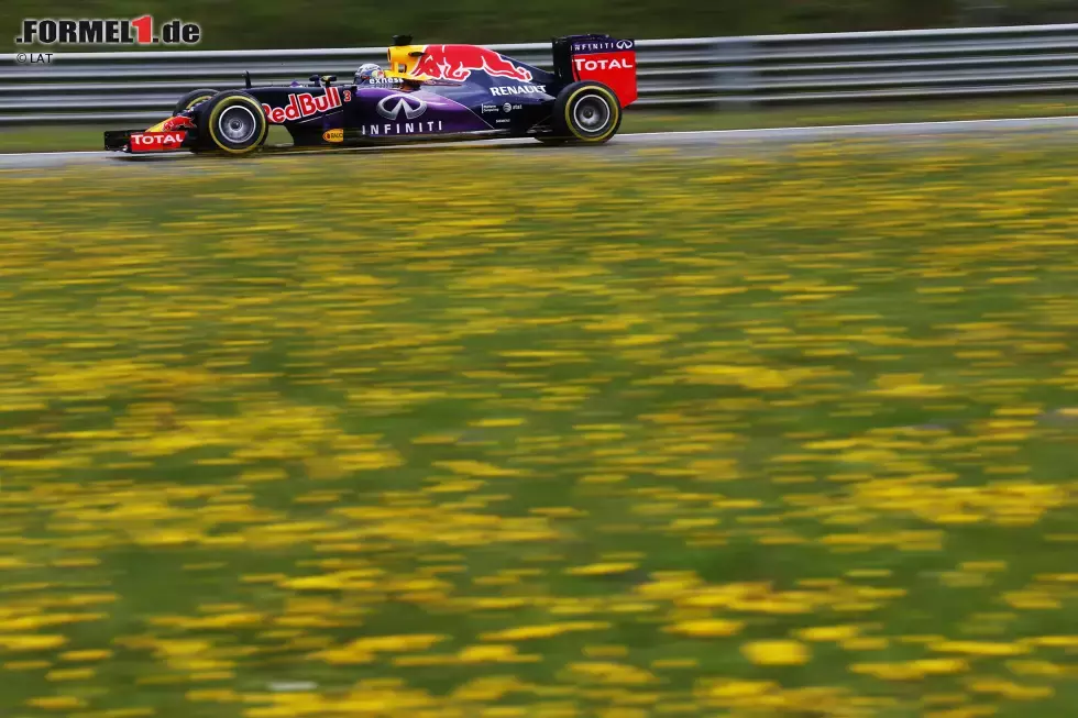 Foto zur News: Daniel Ricciardo (Red Bull)