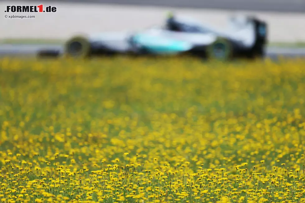 Foto zur News: Nico Rosberg (Mercedes)