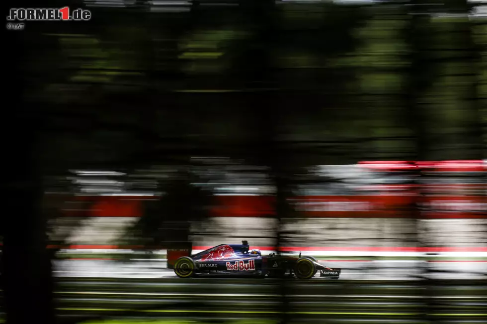 Foto zur News: Max Verstappen (Toro Rosso)