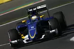 Foto zur News: Marcus Ericsson (Sauber)