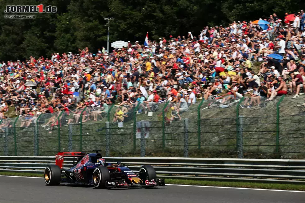 Foto zur News: Max Verstappen (Toro Rosso)