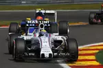 Foto zur News: Felipe Massa (Williams) und Felipe Nasr (Sauber)