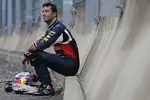 Foto zur News: Daniel Ricciardo (Red Bull)