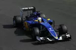 Foto zur News: Marcus Ericsson (Sauber)