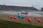 Foto zur News: Nico Rosberg (Mercedes)  fährt an einigen Plastik-Flamingos vorbei