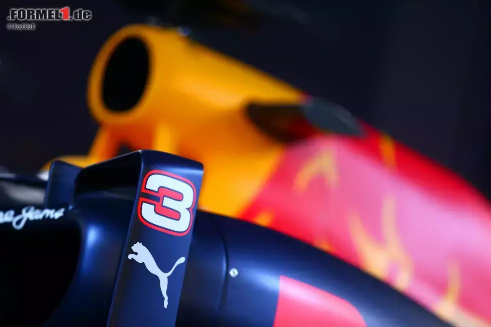 Foto zur News: Red-Bull-Teampräsentation