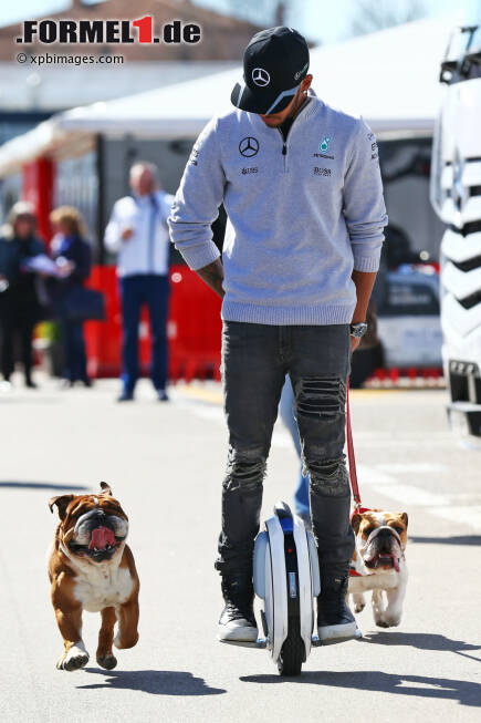 Foto zur News: Lewis Hamilton (Mercedes)