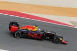 Foto zur News: Daniel Ricciardo (Red Bull)