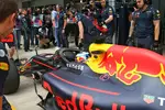 Foto zur News: Daniel Ricciardo (Red Bull)