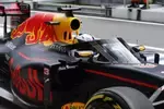 Foto zur News: Daniel Ricciardo (Red Bull)