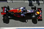 Foto zur News: Daniel Ricciardo