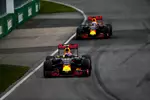 Foto zur News: Max Verstappen (Red Bull) und Daniel Ricciardo (Red Bull)