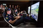 Foto zur News: Max Verstappen (Red Bull)