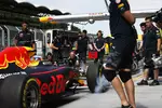 Foto zur News: Daniel Ricciardo (Red Bull)