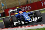 Foto zur News: Felipe Nasr (Sauber)