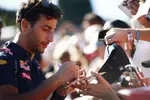 Gallerie: Daniel Ricciardo (Red Bull)