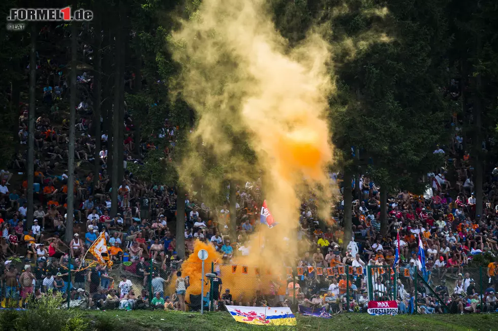 Foto zur News: Fans von Max Verstappen (Red Bull)